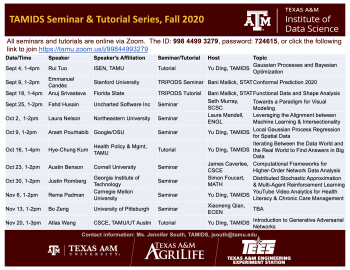 TAMIDS Fall 2020 Seminar & Tutorial Series