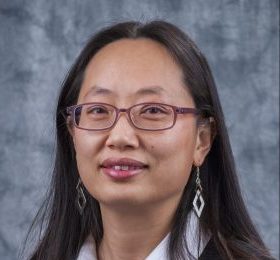 TAMIDS Tutorial Series: Hye-Chung Kum: Iterating Between the Data World and the Real World to Find Answers in Big Data