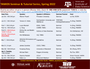 TAMIDS Spring 2022 Seminar & Tutorial Series